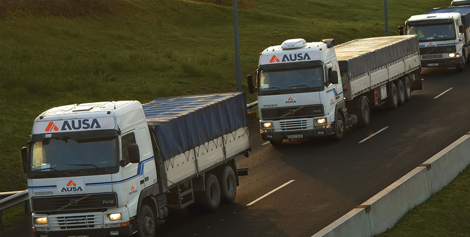 Almacenistas-Calibradores