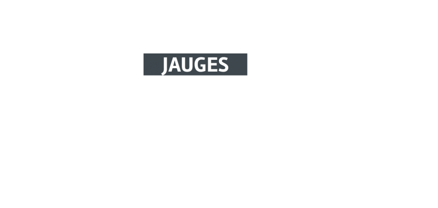 Jauges